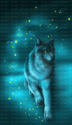 Loup - Ücretsiz animasyonlu GIF