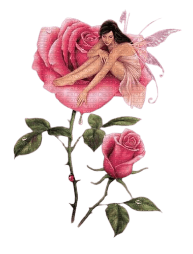 roses fairy - ücretsiz png