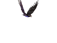 chim bay 4 - Безплатен анимиран GIF