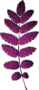Leaf Leaves Deco Pink Texture Gif Jitter.Bug.Girl - Gratis geanimeerde GIF