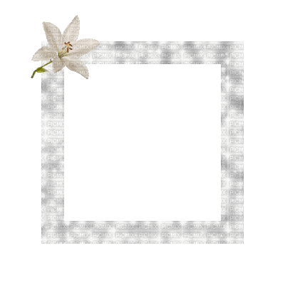 Small White Frame - GIF animado grátis