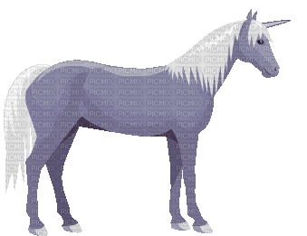 Unicorn - Animovaný GIF zadarmo