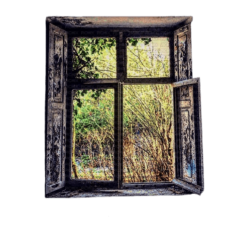 window - PNG gratuit