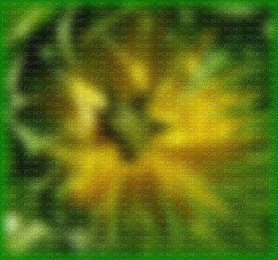 minou-green-background-bg - δωρεάν png