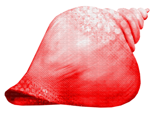 Seashell.Red - gratis png