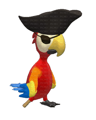 pirate parrot gif perroquet pirate 🦜🦜 - GIF animé gratuit