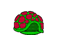 tortue - Free animated GIF