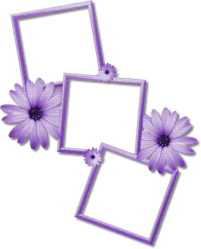 Frame flowers 🏵asuna.yuuki🏵 - png gratuito
