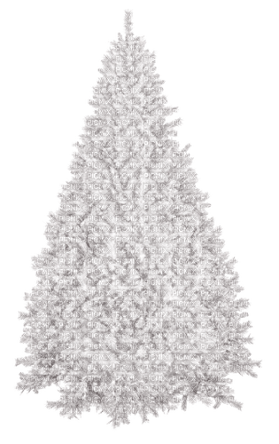 white winter  tree - png ฟรี