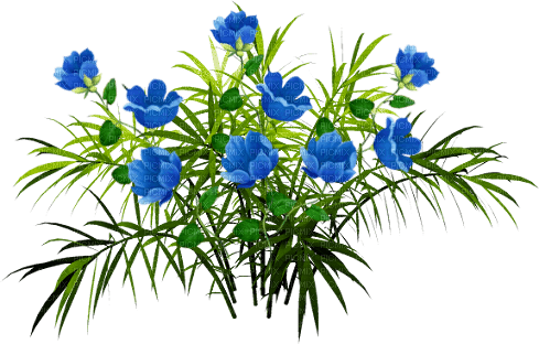 Flores azules - Free PNG