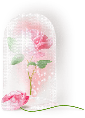 Roses.Glass.Dome.Pink - ingyenes png