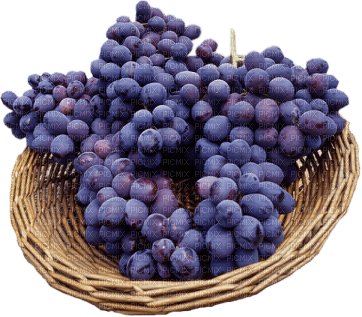 Grapes - nemokama png