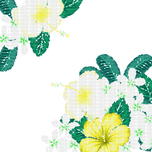 fleur hibiscus yellow, gif, Pelageya - Bezmaksas animēts GIF