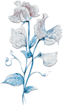 soave deco flowers branch spring brown blue - безплатен png