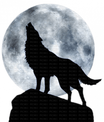 Kaz_Creations Animals Wolves Silhouettes Silhouette - PNG gratuit