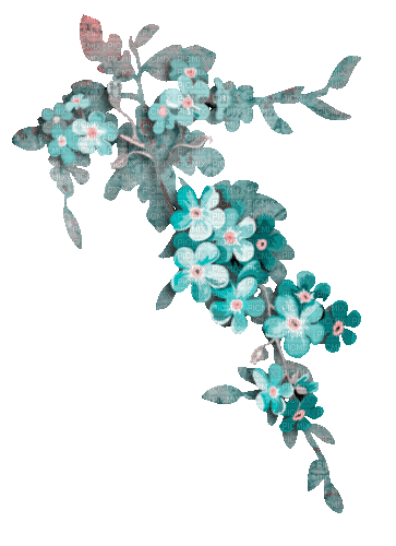 soave deco branch animated flowers  pink teal - Kostenlose animierte GIFs