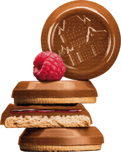 Biscuit Chocolate Brown - Bogusia - png gratis