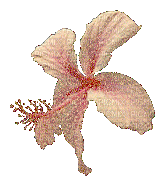 Fleur - Nemokamas animacinis gif