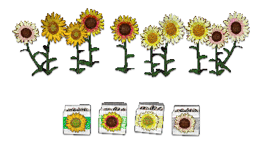 Petz and Babyz Sunflowers and Sunflower Seeds - png grátis
