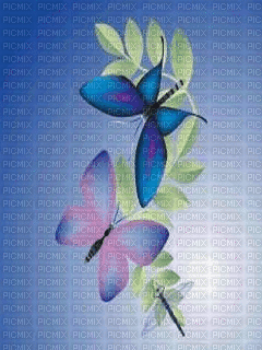 butterfly - Gratis animeret GIF