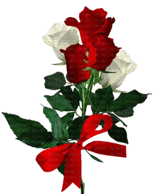 patymirabelle fleurs rose - ücretsiz png