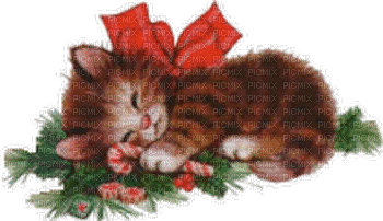 Kaz_Creations Christmas Deco Cat Kitten - Gratis animeret GIF