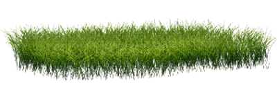 grass - δωρεάν png