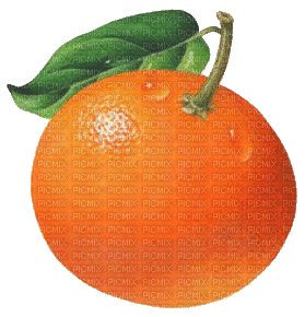 Mandarine - Безплатен анимиран GIF