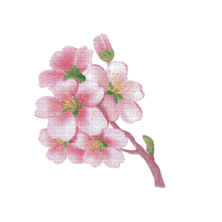 Цветы на ветке - Gratis geanimeerde GIF