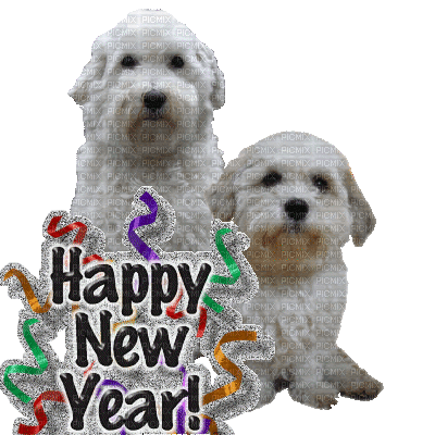happy new year dog - GIF animé gratuit