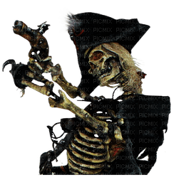 pirate skeleton bp - kostenlos png