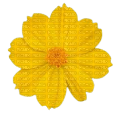 fleur jaune - zdarma png