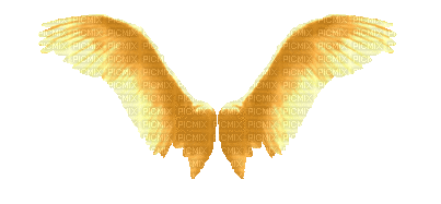 wings - Zdarma animovaný GIF