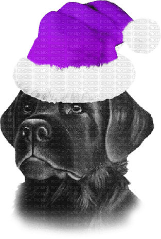 soave dog animals christmas deco black white - gratis png