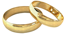 Kaz_Creations Wedding Rings - kostenlos png