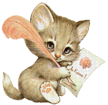 cat chat katze animal tube animals animaux mignon gif anime animated animation fun - GIF animasi gratis