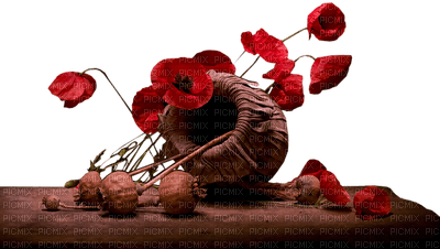coquelicot.Cheyenne63 - png ฟรี