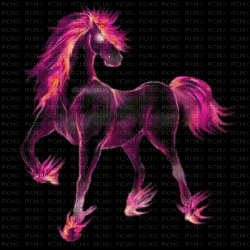 fond horse. horses bp - Бесплатный анимированный гифка
