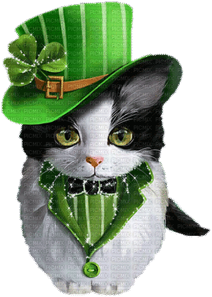 SOAVE DECO ST.PATRICK cat  ANIMATED GREEN - Бесплатни анимирани ГИФ