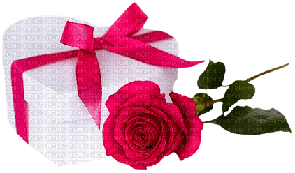 Heart.Box.Rose.Pink.White - Free PNG