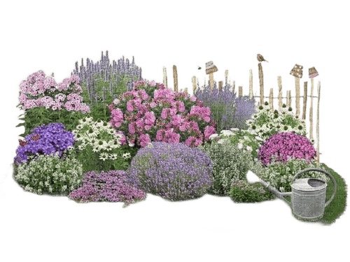 flower plant garden - bezmaksas png