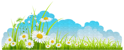 Kaz_Creations Flowers Flower Grass - png gratis