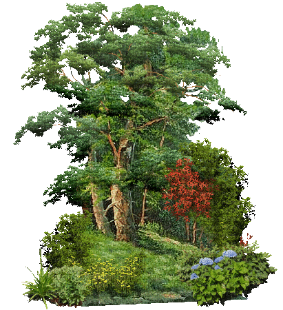 tree arbre baum - Bezmaksas animēts GIF