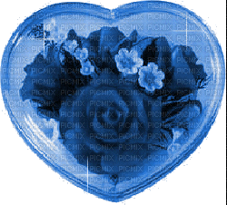 blau rose - Ücretsiz animasyonlu GIF
