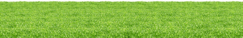 grass field - png grátis