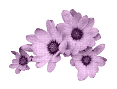 purple-flowers - gratis png