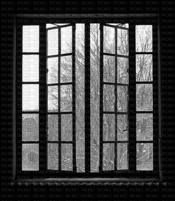 Window winter snow nature - GIF animé gratuit