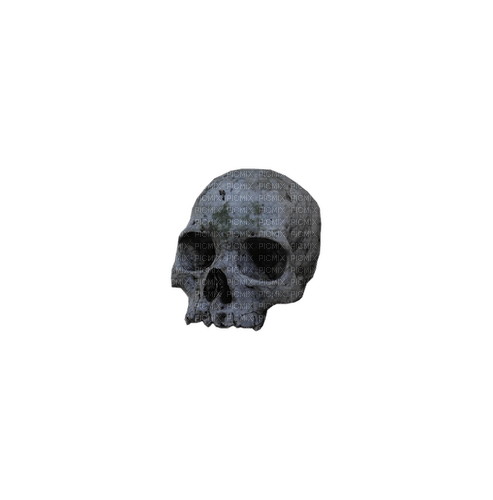 kikkapink deco scrap skull dark gothic - besplatni png