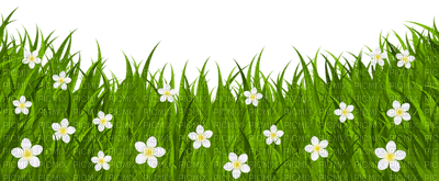 Kaz_Creations Garden-Deco-Grass - 無料png