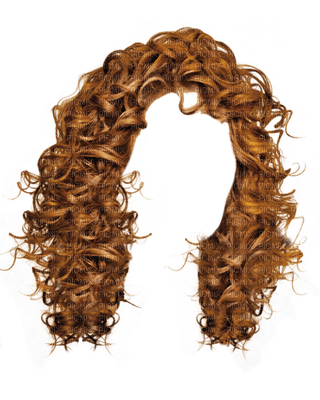 cheveux 1 - darmowe png